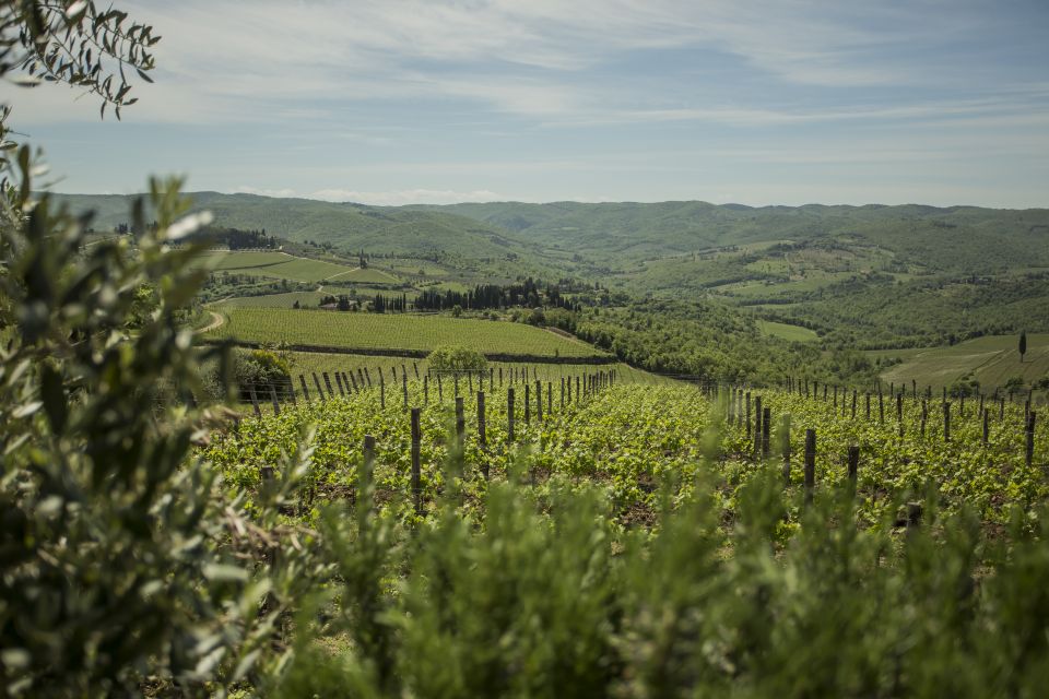 Tuscan Cooking Experience With Wine Tasting in Panzano in Chianti. - Pairing Flavors With Local Wines