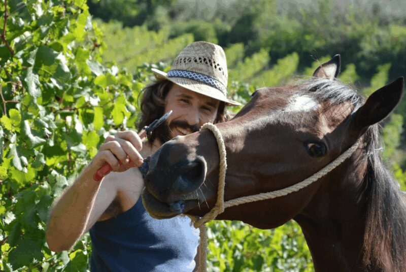 Tuscan Lunch & Winery Tour with Tasting in San Gimignano - Authenticity and Reviews