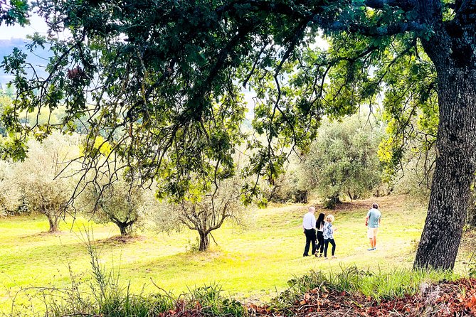 Tuscan Picnic - Curated Gourmet Picnic Menu