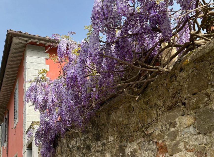 Tuscan Treasures: Olive Oil Experience With Lunch - Olive Oil Tasting and Snacks Included