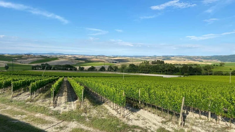 Tuscan Villages and Chianti Wine from Livorno - Traditional Tuscan Lunch
