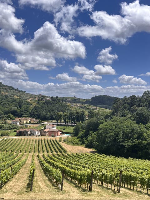 Tuscan Wine Tour by van from Lucca - Breaking Down the Itinerary