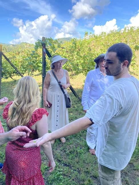Tuscan Wine Tour by van from Pisa - The Experience for Different Travelers