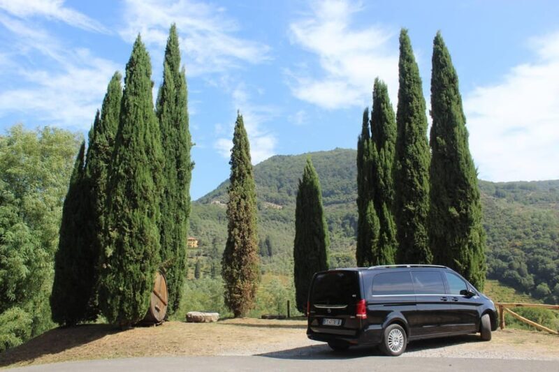 Tuscan Wine Tour by van from Pisa - Transportation and Group Dynamics