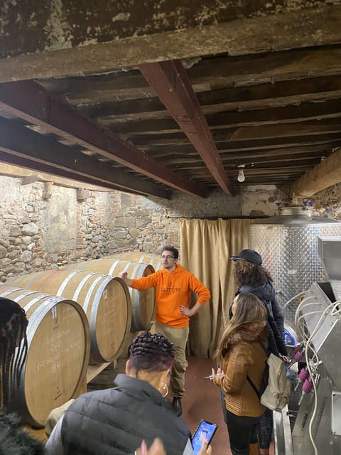 Tuscan Wine Tour by van from Pisa - Price and Value