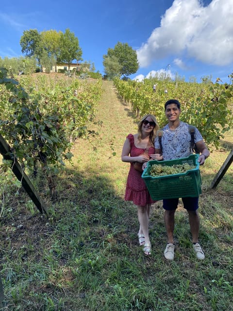 Tuscan Wine Tour by van from Pisa - Who Will Love This Tour?