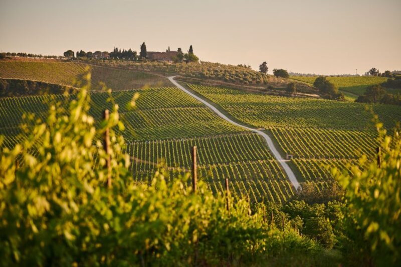 Tuscany: Chianti Wine Paradise Tour - FAQ