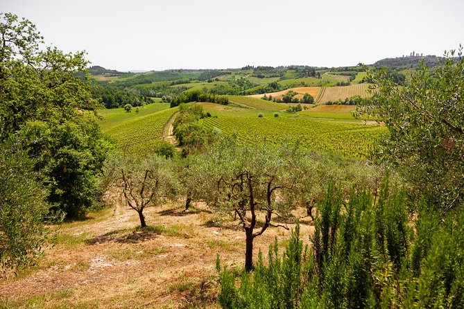 Tuscany Day Trip From Florence: Siena, San Gimignano, Pisa and Lunch at a Winery - Recommendations and Highlights