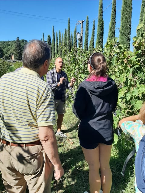 Tuscany from Rome- Pienza and Montepulciano private day tour - The Itinerary Breakdown