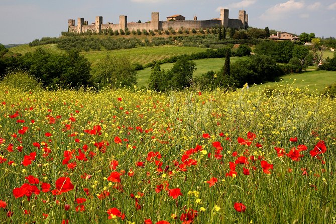 Tuscany Hiking Tour From Siena Including Wine Tasting - Exploring the Medieval Village