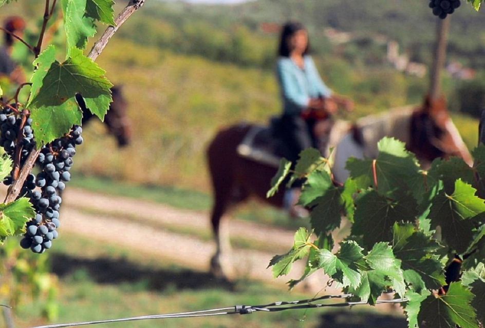 Tuscany: Horseback Riding Adventure With Lunch in a Winery - Tuscan Lunch and Wine Tasting