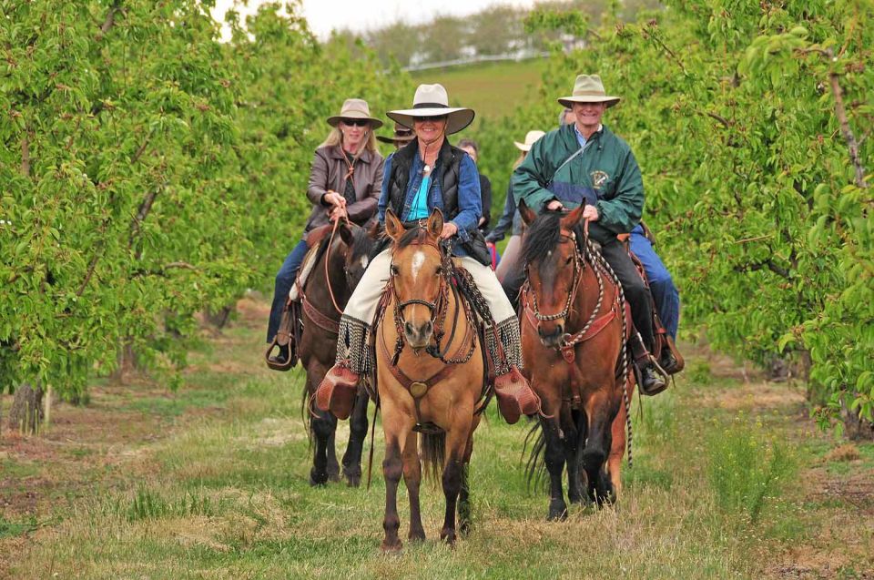 Tuscany: Horseback Riding Adventure With Lunch in a Winery - What to Expect