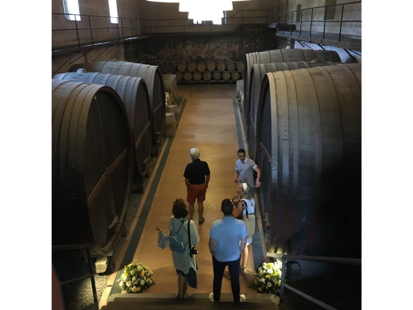 Tuscany: Horseback Riding Adventure With Lunch in a Winery - Additional Information