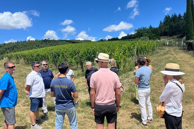 Tuscany Landscapes, Castels & Chianti Wine District - What Past Travelers Say