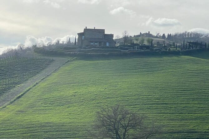 Tuscany Tour Siena - San Gimignano - Winery - Who Will Love This Tour?