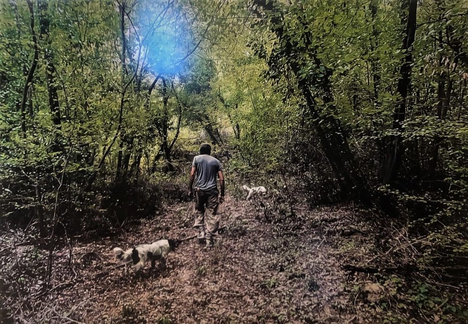 Tuscany: Truffle Hunting Experience with Tasting - The Tasting: From Forest to Feast
