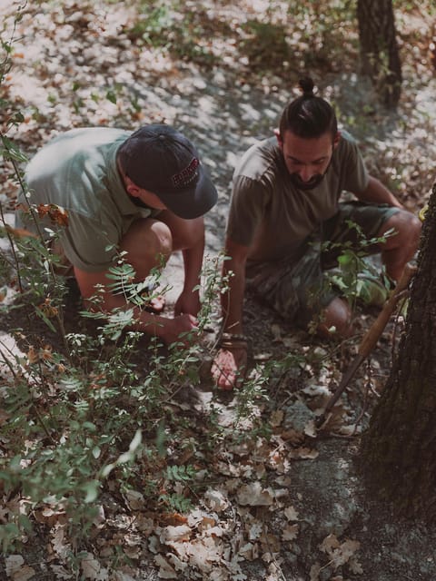 Tuscany: Volterra Truffle Hunting with Lunch or Dinner - FAQ