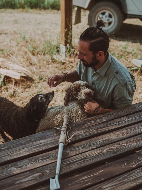 Tuscany: Volterra Truffle Hunting with Lunch or Dinner - The Bottom Line