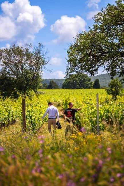 Tuscany: Wine Tasting Experience - A Closer Look at the Tuscan Wine Tasting Tour
