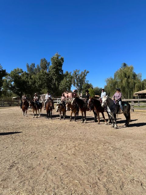Tuscon: Rancho Cerros Horseback Riding Tout with Great Views - Introduction: What Makes This Tour Stand Out?