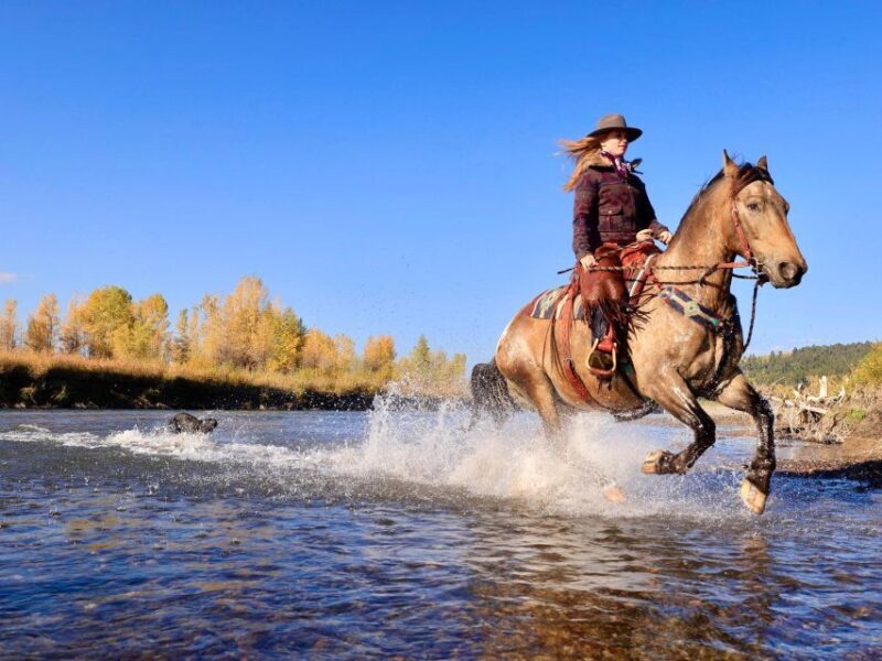 Tuscon: Rancho Cerros Horseback Riding Tout with Great Views - Who Will Love This Tour?