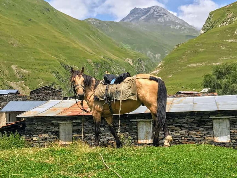 Tusheti Thrill: Limited-Time Mountain Escape 3 day tour - The Itinerary: What to Expect