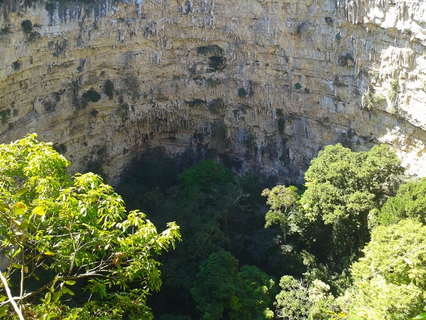 Tuxtla Gutiérrez: Full-Day Rappel Into the Sinkhole of Parrots - Cave Paintings