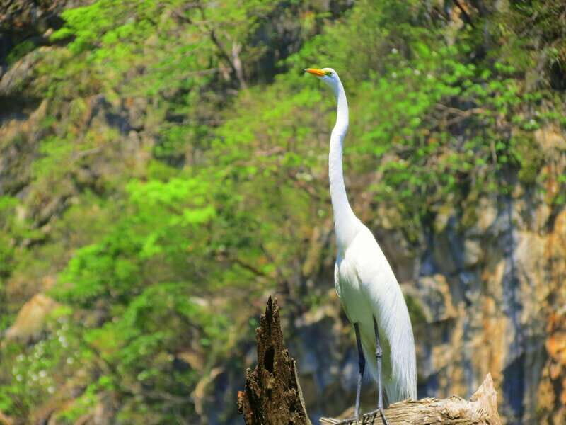 Tuxtla: Sumidero Canyon, San Juan Chamula & Zinacantán Tour - The Natural Wonder: Sumidero Canyon