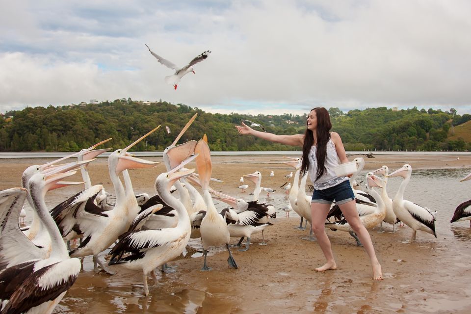 Tweed/Gold Coast: Crab Catching Experience Cruise - Customer Reviews