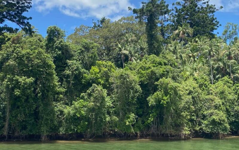 Tweed River Cruise: relax with a Morning Tea cruise - An In-Depth Look at the Tweed River Morning Tea Cruise