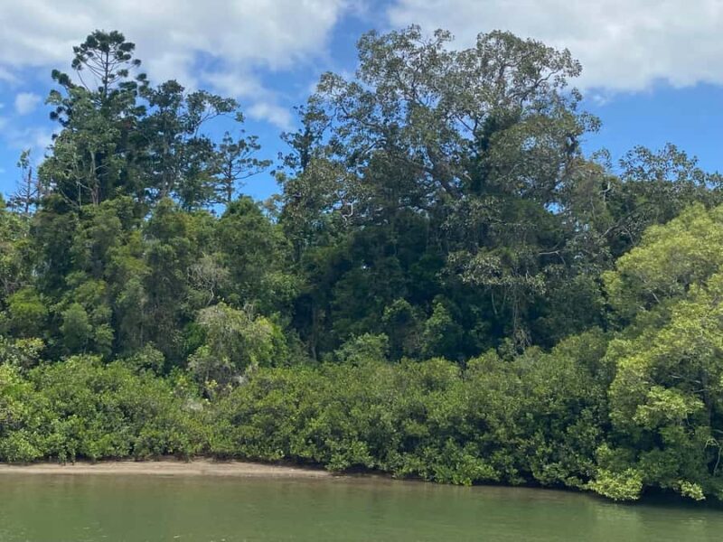 Tweed River Cruise: relax with a Morning Tea cruise - The Sum Up: Who Should Book?