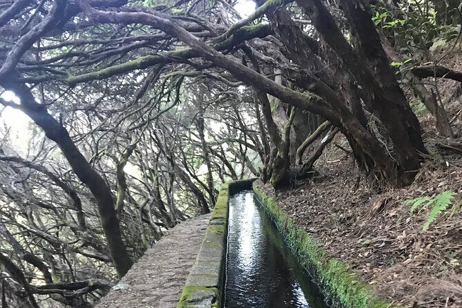 Twenty-Five Fountains Levada walks (private) - In-Depth Exploration of the Tour