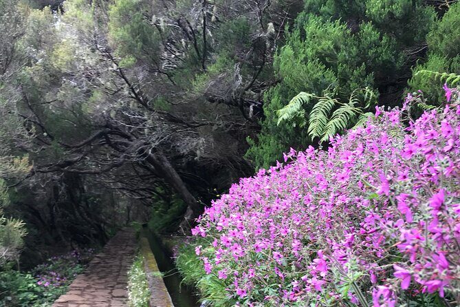 Twenty-Five Fountains Levada walks (private) - Final Thoughts: Is This Tour Worth It?