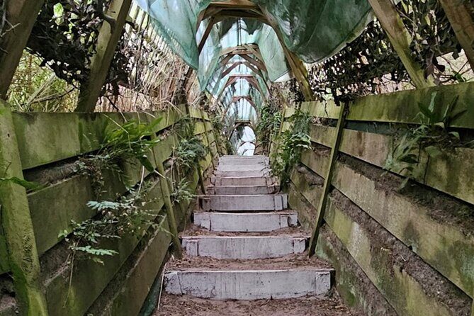 Twilight at the Opera - FAQ