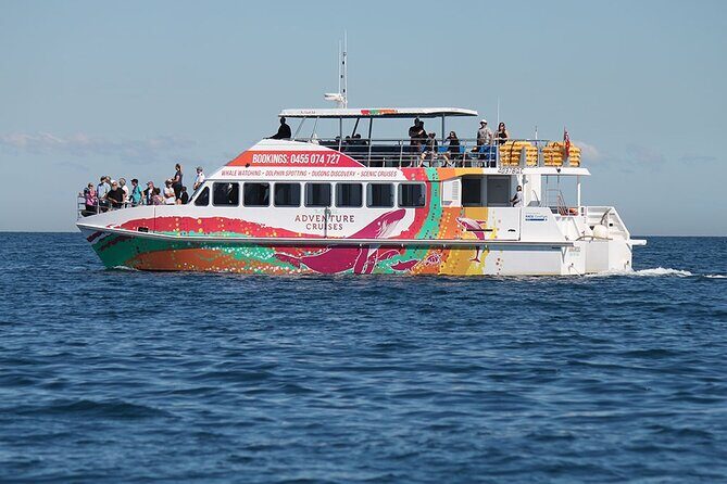 Twilight Bay Cruise in Hervey Bay - The Value of the Experience