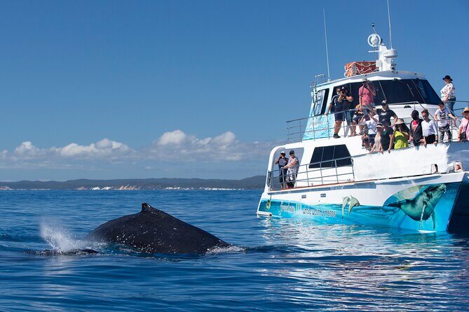 Twilight Bay Cruise in Hervey Bay - Who Should Consider This Tour?