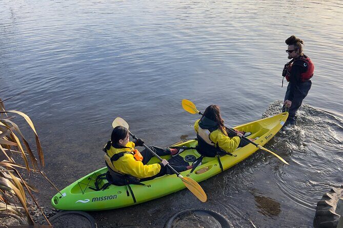 Twilight Kayak Glowworm Tour with Stargazing - An In-Depth Look at the Experience