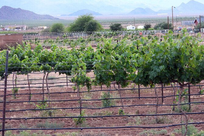 Twilight Wine and Stargazing Tour in Northern Arizona - FAQ