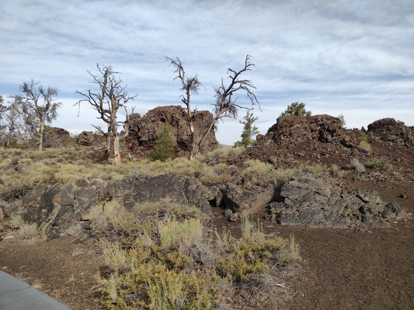 Twin Falls: Craters of the Moon Full-Day Tour With Lunch - Key Attractions and Activities