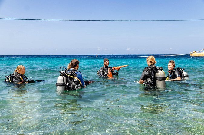 Two and a Half Hours Scuba Diving Experience in Curacao - What the Reviews Say (Though Limited)