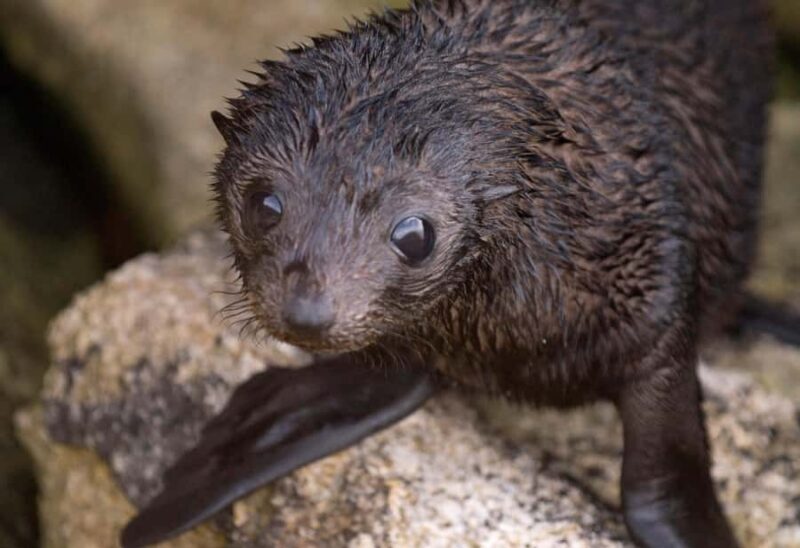 Two Day Classic - Who Will Love This Tour?