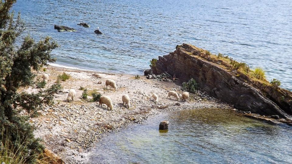 Two Day Lake Titicaca Tour With Homestay - Booking and Cancellation Policy