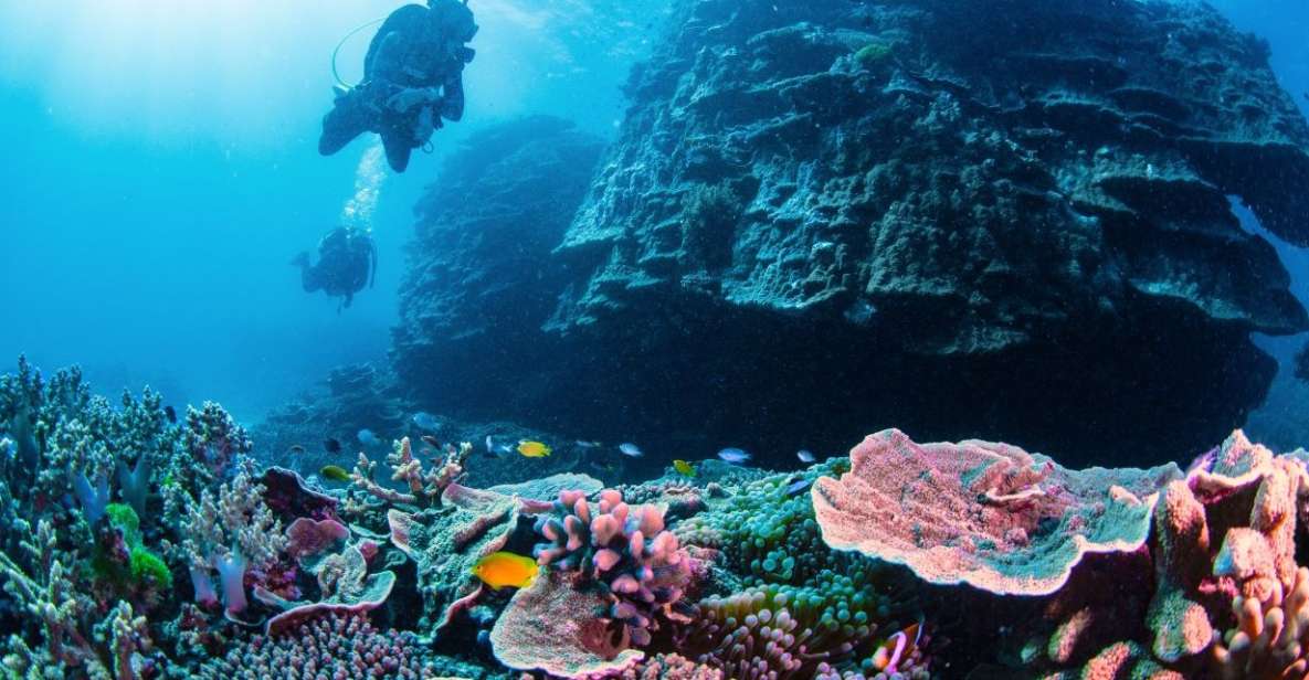 Two Day Semi-Private Scuba Diving Experience - Key Points