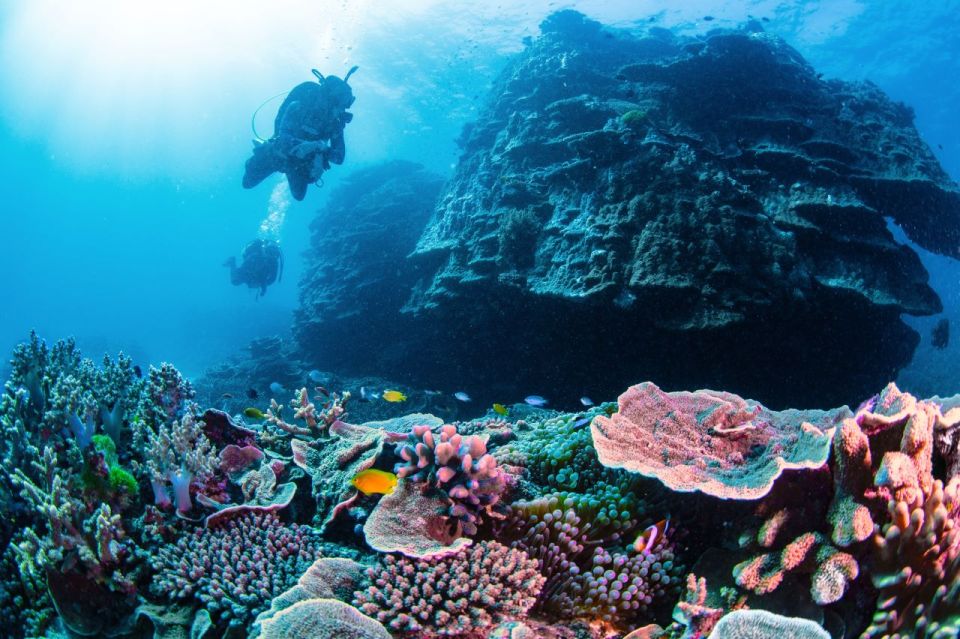 Two Day Semi-Private Scuba Diving Experience - Inclusions