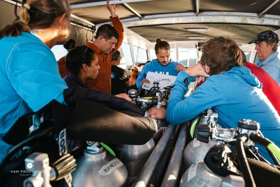 Two Day Semi-Private Scuba Diving Experience - Additional Information