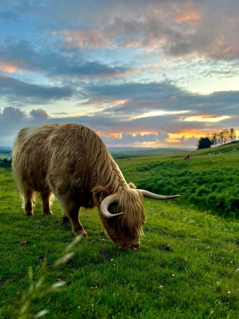 Two Day Taster Tour of Skye and the Highlands - Key Points