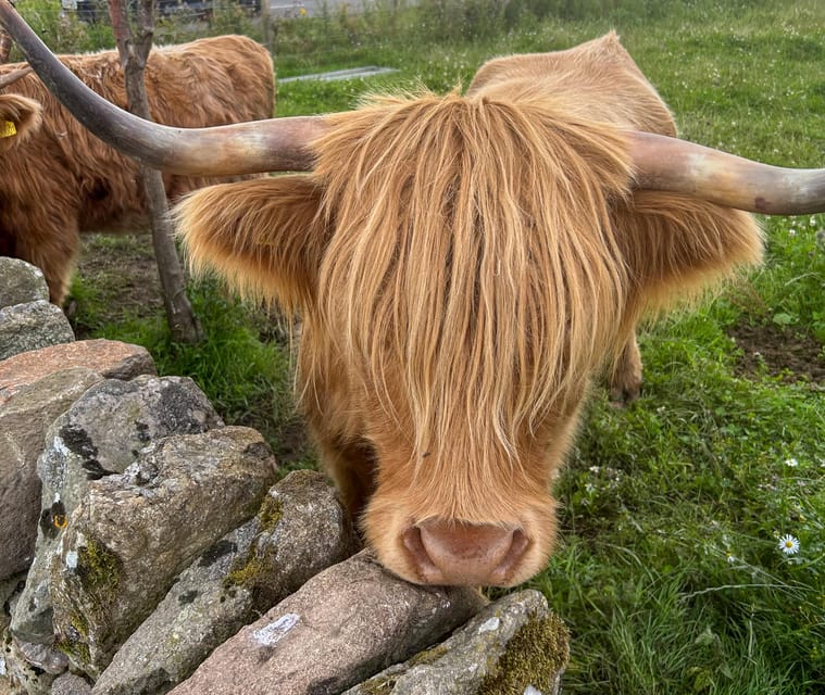 Two Day Taster Tour of Skye and the Highlands - An In-Depth Look at the Tour Experience