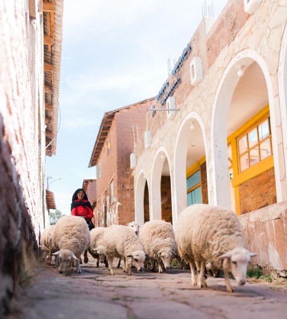 Two Day Tour of Lake Titicaca With Homestay in Amantani - Frequently Asked Questions