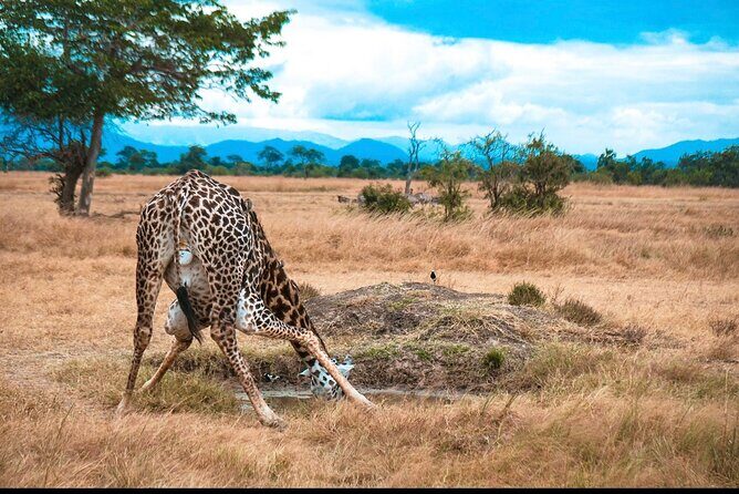 Two Days Safari by Train - Frequently Asked Questions (FAQ)