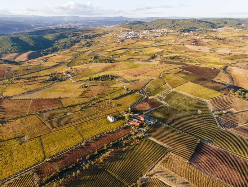 Two days to visit Fall Foliage in Douro Valley - Key Points